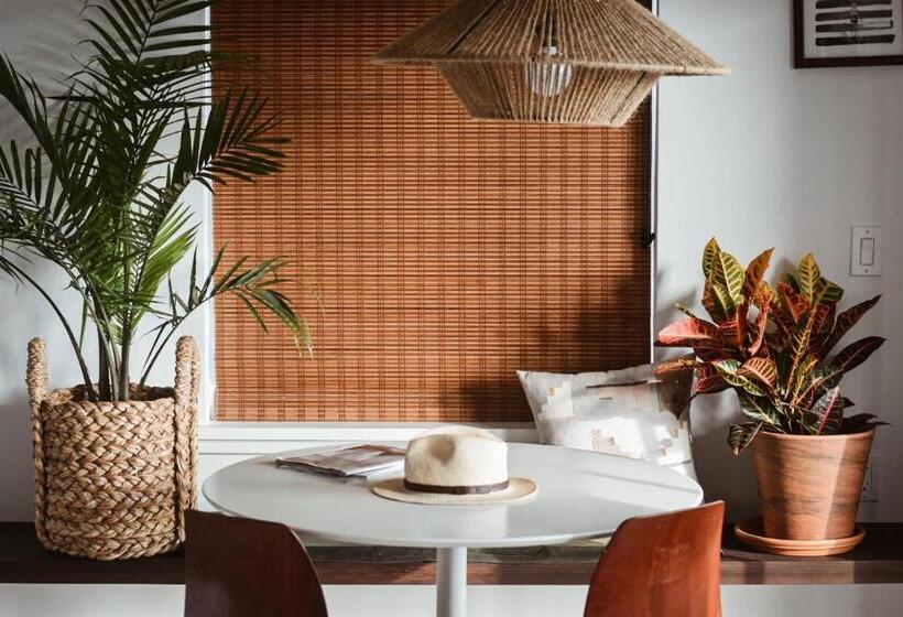 デラックススタジオ, Lokal Hotel Cape May