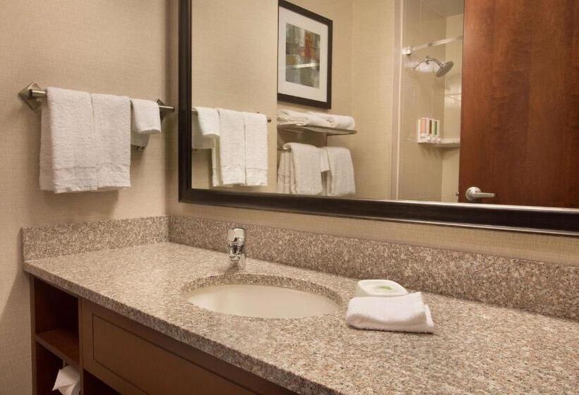스탠다드 스튜디오 킹침대, Drury Inn And Suites Denver Central Park