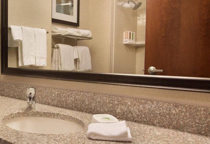 장애인용 디럭스룸, Drury Inn And Suites Denver Central Park