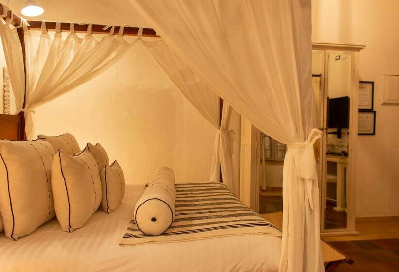 اتاق استاندارد, Leones De Alba Hotel Boutique