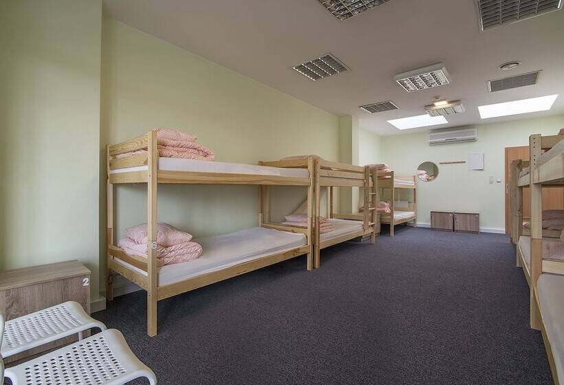共用房间的床, Sea Hostel