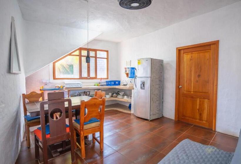Апартаменты 2 Спальни, Hostal Galapagos By Bar De Beto