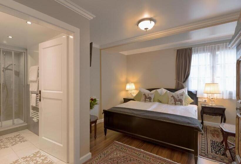 Номер Стандарт, Schneider Hof Boutique Hotel Garni Superior