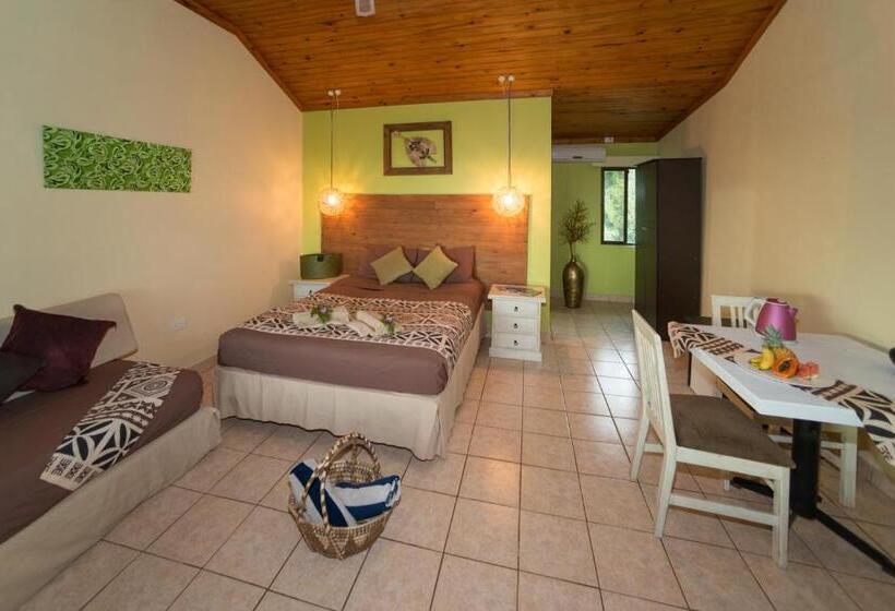 اتاق استاندارد یک نفره, Waidroka Bay Resort