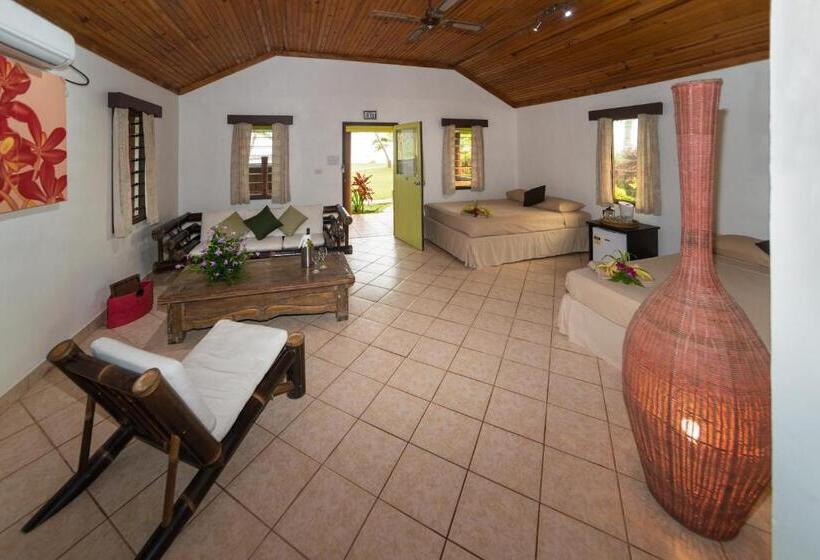اتاق سوپریور یک تخته, Waidroka Bay Resort