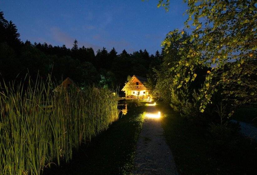 کلبه ییلاقی دلوکس یک خوابه, Korošec Apartments And Wellness Centre
