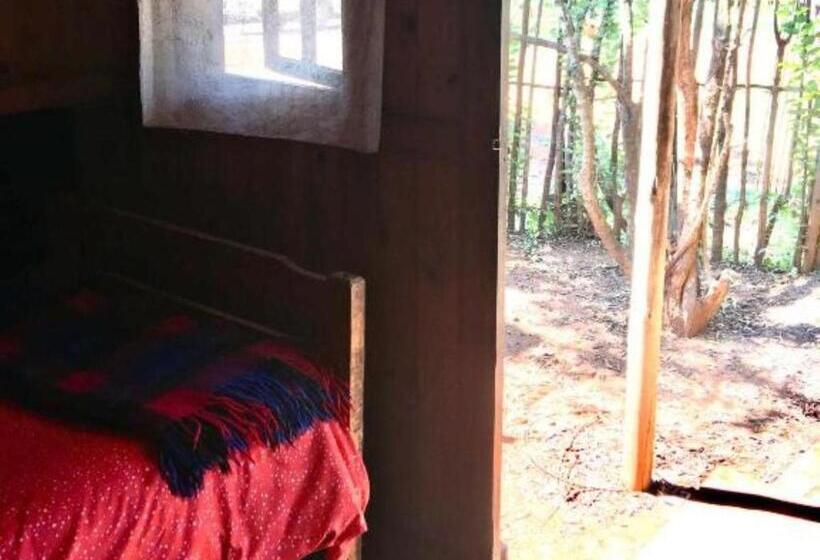Номер Стандарт Индивидуальный, Sabie Gypsy's Backpackers
