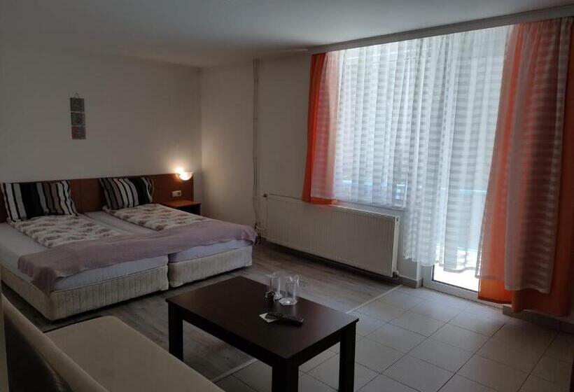 استودیو خانوادگی, Guest House Lila