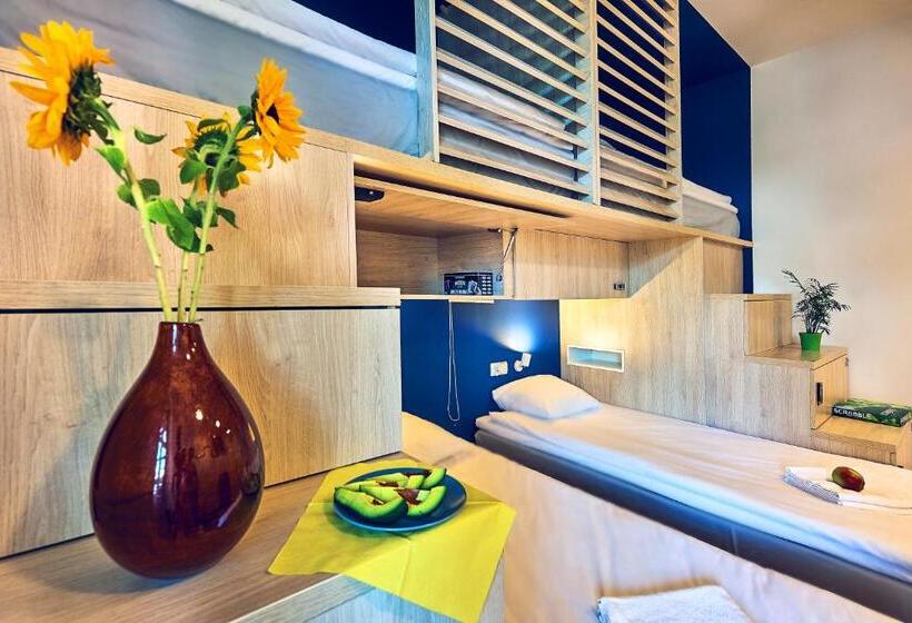 اتاق استاندارد چهار تخته, Draggo House