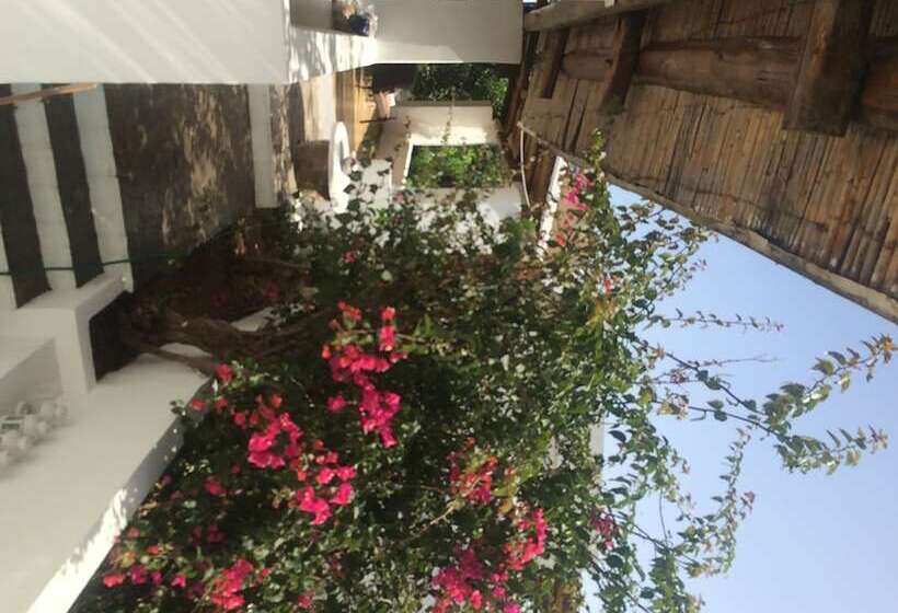 اتاق استاندارد سه نفره, Panareal