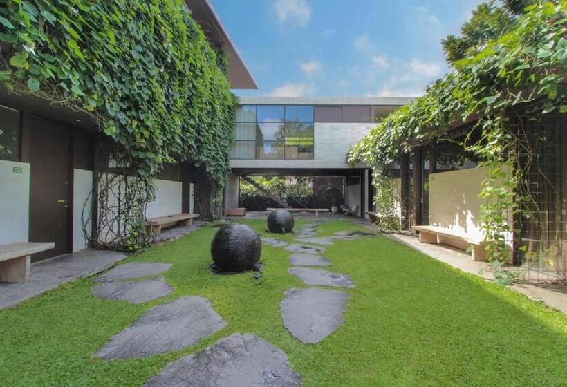 استودیوی استاندارد, Clio Apartment