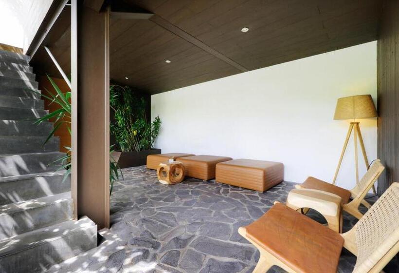 اتاق استاندارد, Clio Apartment
