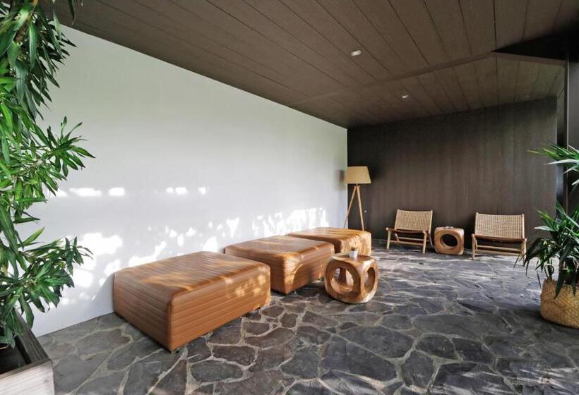 اتاق استاندارد, Clio Apartment
