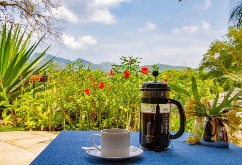 اتاق استاندارد با چشم‌انداز باغ, Bougainvillea Retreat