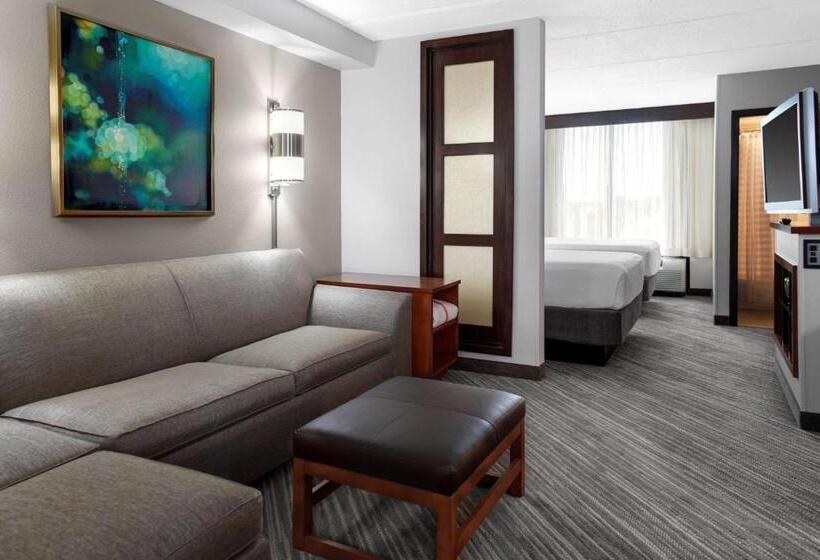 חדר סטנדרט שתי מיטות זוגיות, Hyatt Place Chicago/itasca