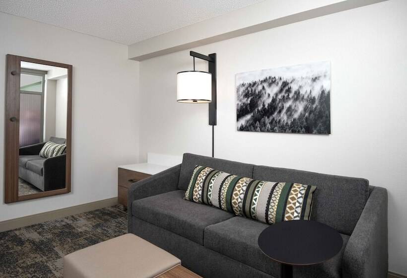 Номер Стандарт 2 Двуспальные Кровати, Hyatt Place Denver South/park Meadows