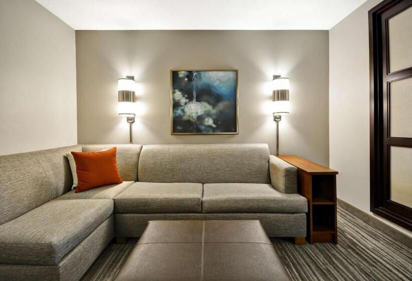 اتاق استاندارد با 2 تخت دوبل, Hyatt Place Kansas City/overland Park/metcalf