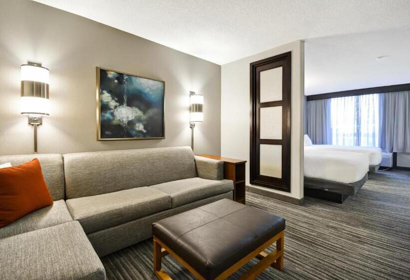 اتاق استاندارد با تخت بزرگ, Hyatt Place Kansas City/overland Park/metcalf