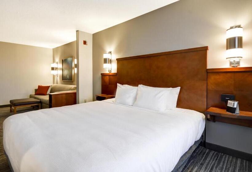 اتاق استاندارد با تخت بزرگ برای معلولان, Hyatt Place Kansas City/overland Park/metcalf