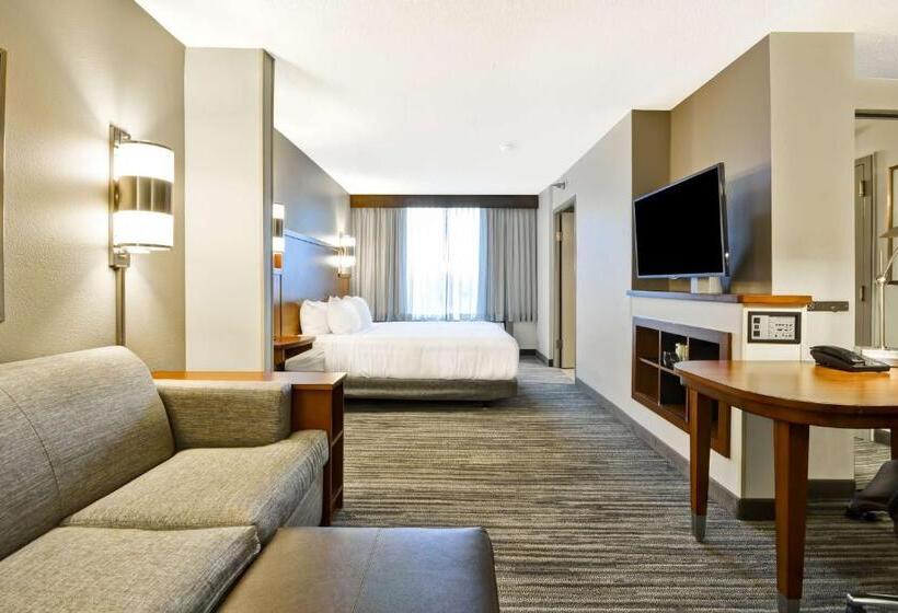 اتاق استاندارد با تخت بزرگ برای معلولان, Hyatt Place Kansas City/overland Park/metcalf