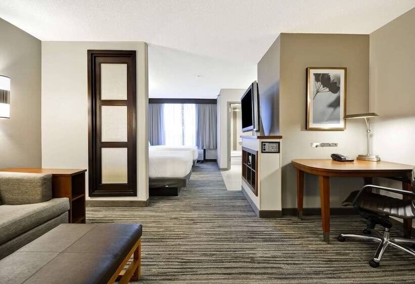 اتاق استاندارد با 2 تخت دوبل, Hyatt Place Kansas City/overland Park/metcalf