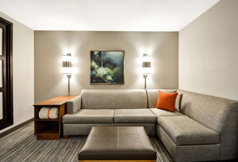 اتاق استاندارد با 2 تخت دوبل, Hyatt Place Kansas City/overland Park/metcalf
