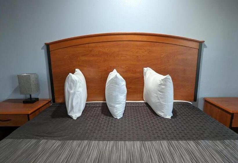 带大床的豪华间, Best Motel