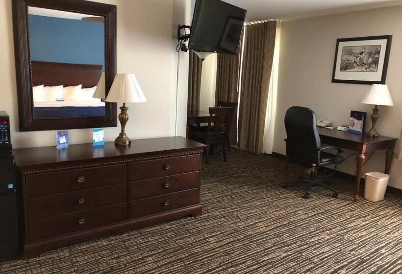 Номер Deluxe Кровать Кинг с Видом, Baymont By Wyndham Washington