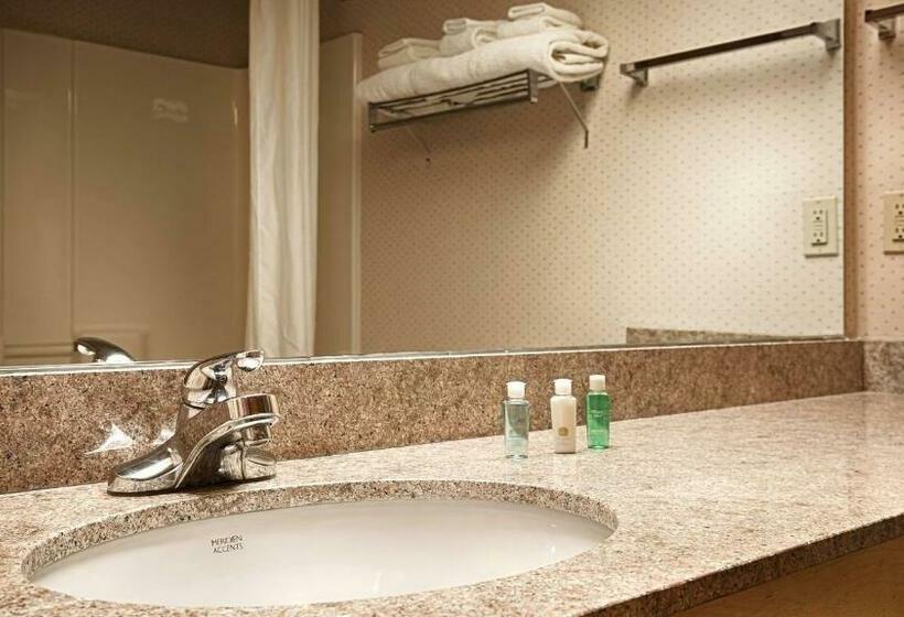 Номер Стандарт Адаптированный для Инвалидов, Best Western Circus City Inn