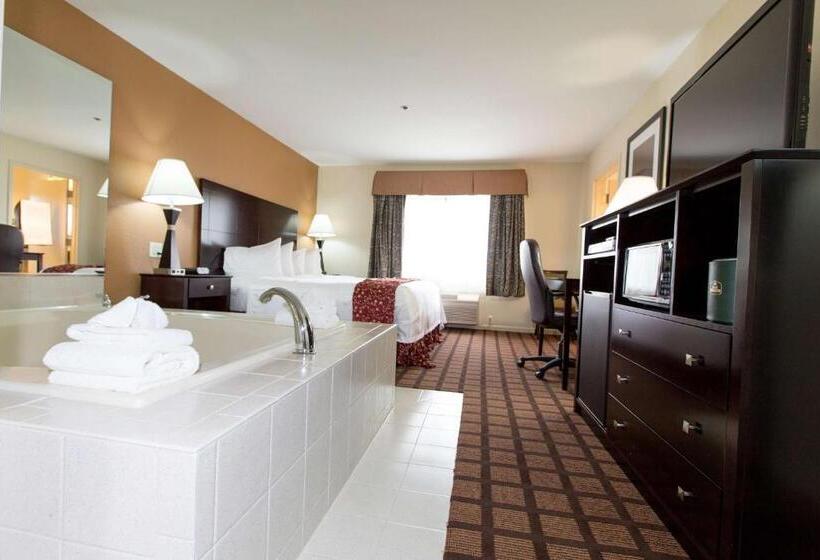 Люкс Кровать Кинг, Best Western Oakbrook Inn