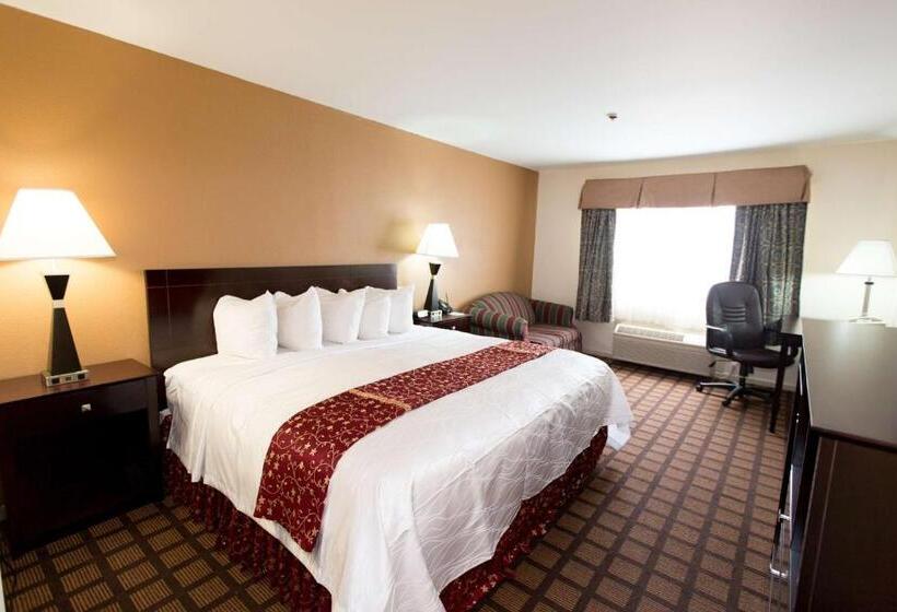 Стандартный Номер Кровать Кинг, Best Western Oakbrook Inn