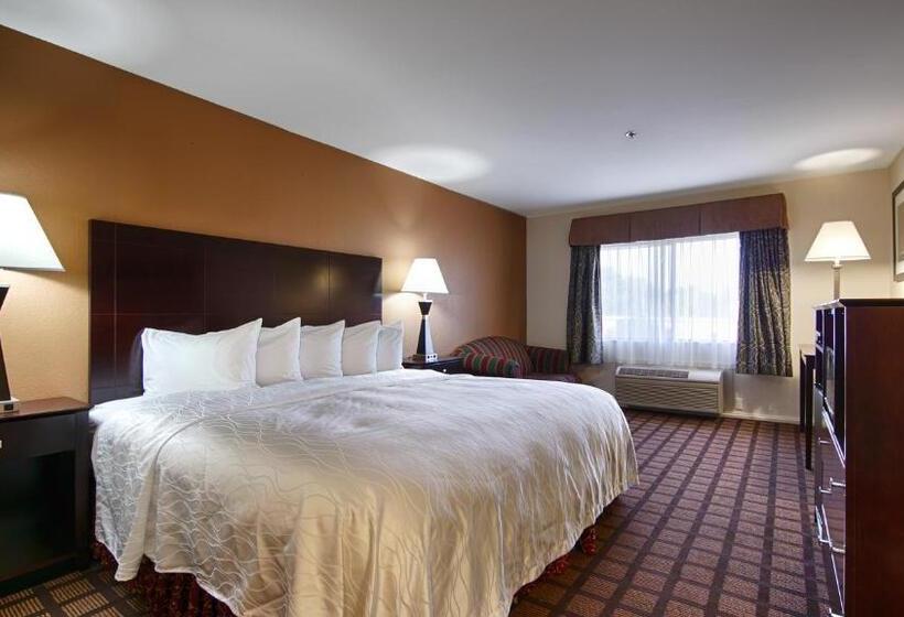 Номер Deluxe Кровать Кинг, Best Western Oakbrook Inn