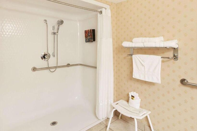 Номер Стандарт Кровать Кинг Адаптированный для Инвалидов, Best Western Plus Abbey Inn