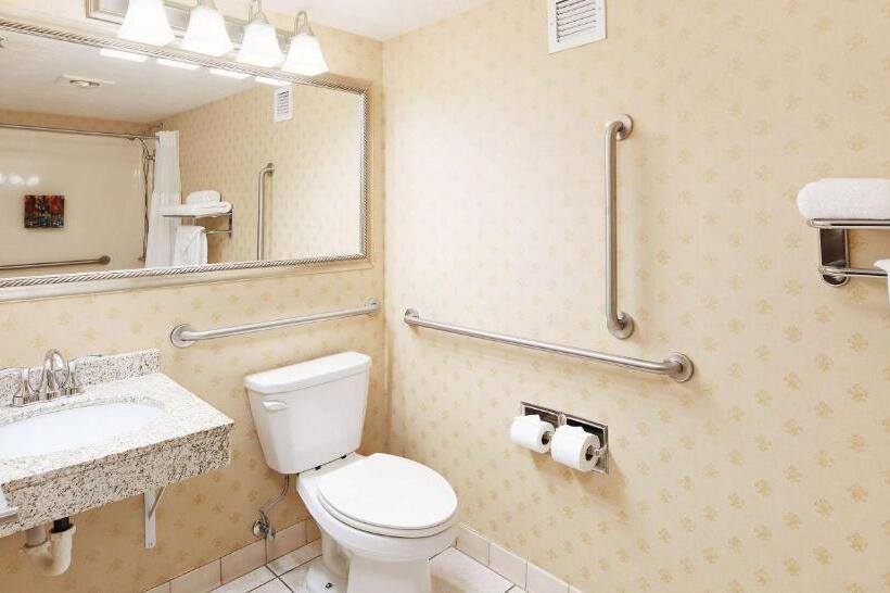 Номер Стандарт Кровать Кинг Адаптированный для Инвалидов, Best Western Plus Abbey Inn