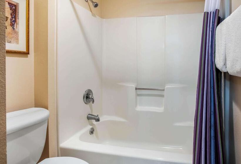 Номер Стандарт 2 Двуспальные Кровати, La Quinta Inn By Wyndham Detroit Southgate