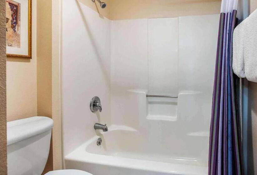 Люкс Кровать Кинг, La Quinta Inn By Wyndham Detroit Southgate