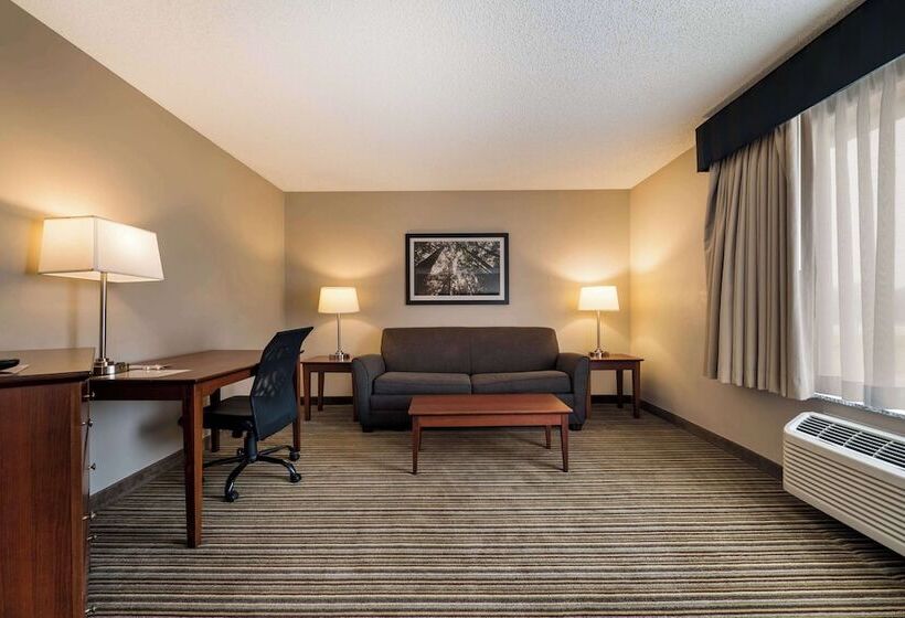 스탠다드 룸, Best Western Park Oasis Inn
