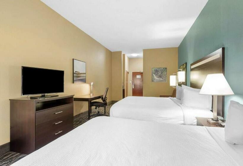 스위트, Best Western Plus Mcdonough Inn & Suites
