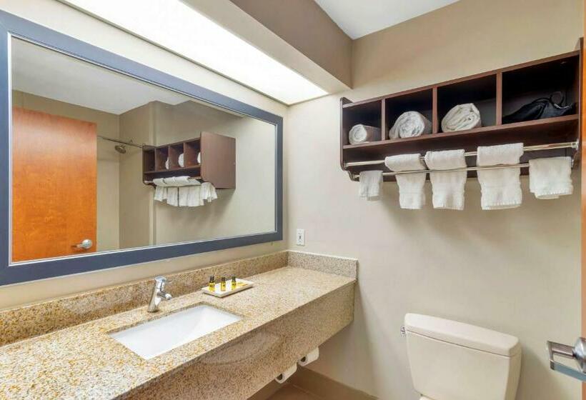스위트, Best Western Plus Mcdonough Inn & Suites