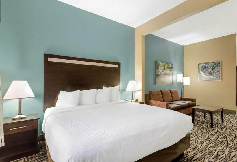 장애인을 위한 스위트, Best Western Plus Mcdonough Inn & Suites