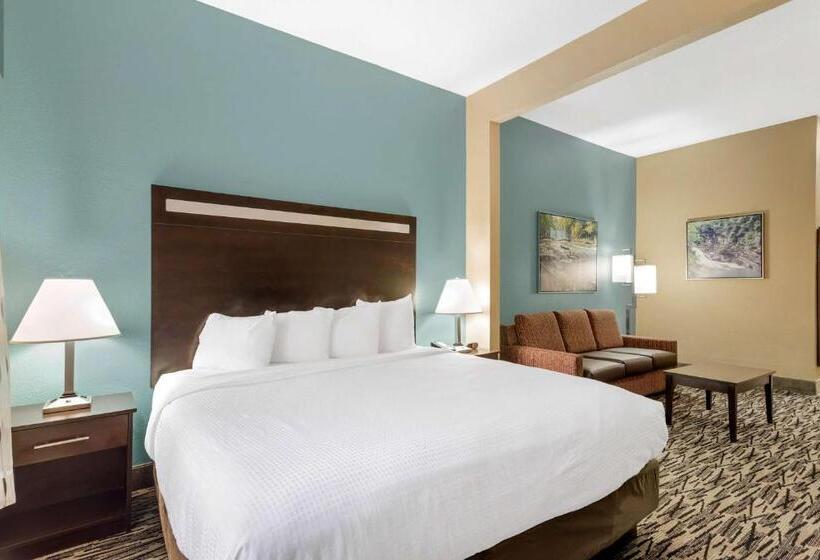 스위트 킹사이즈 침대, Best Western Plus Mcdonough Inn & Suites