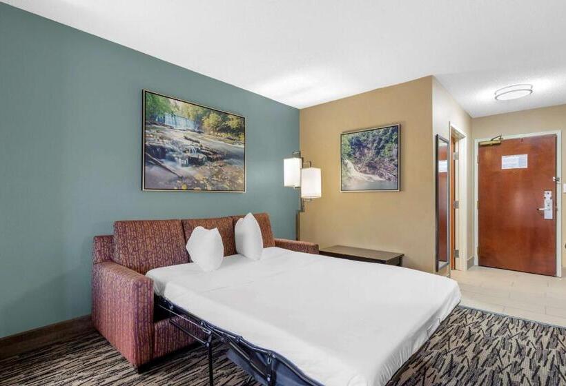 스위트, Best Western Plus Mcdonough Inn & Suites