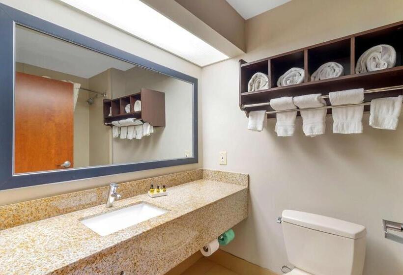 장애인을 위한 스탠다드 룸, Best Western Plus Mcdonough Inn & Suites