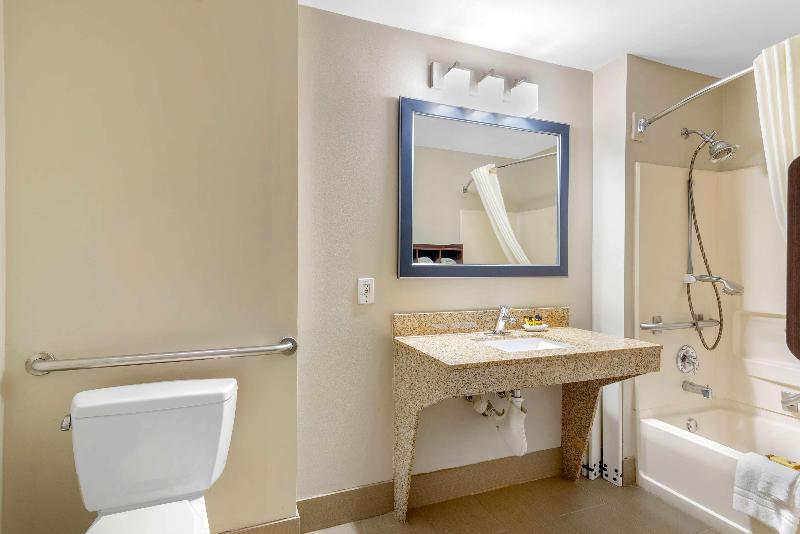 스위트 킹사이즈 침대, Best Western Plus Mcdonough Inn & Suites