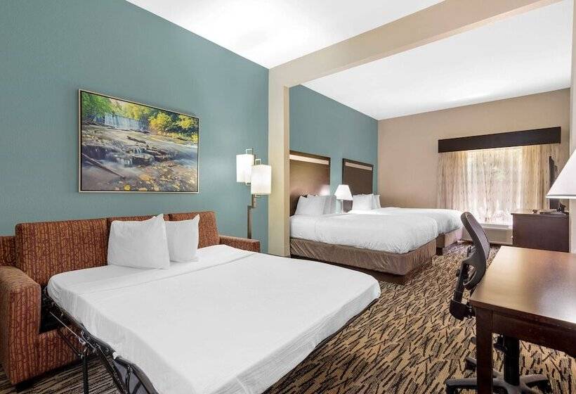 스위트, Best Western Plus Mcdonough Inn & Suites