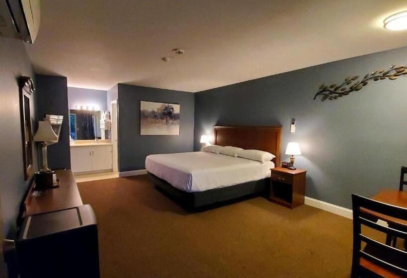اتاق استاندارد با تخت بزرگ, Birch Knoll Motel