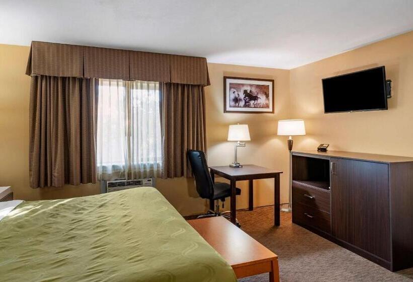 스탠다드 룸 킹사이즈 침대, Quality Inn