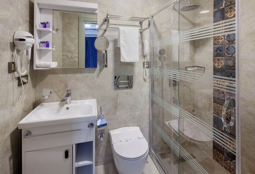 Superior Room, Obahan Hotel Special Class