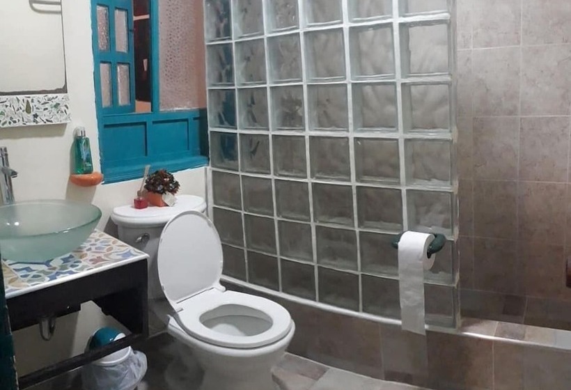家庭间, Hostel Casa Del Arbol