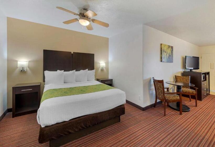 套房, Best Western Mesquite Inn
